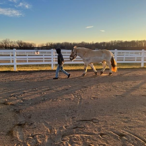 Live show listing - Picture 13 of 15